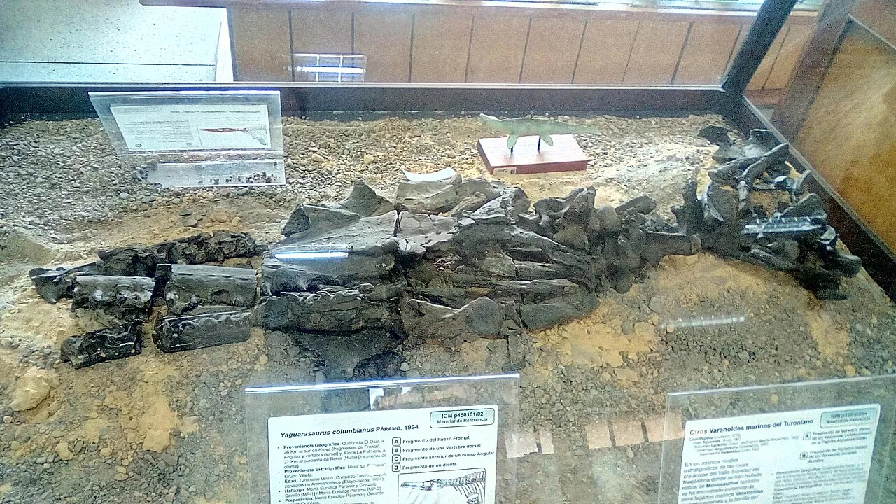 ยากวาราซอรัส (Yaguarasaurus)