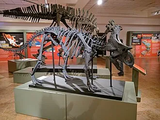 เยเวเคาเซราทอปส์ (Yehuecauhceratops)