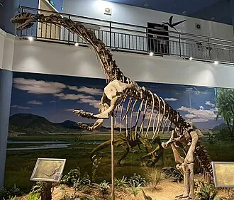 ยี่เหมินโนซอรัส (Yimenosaurus)