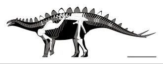 ยิ่งชานโนซอรัส (Yingshanosaurus)