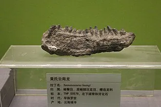 ยูนนาโนซอรัส (Yunnanosaurus)