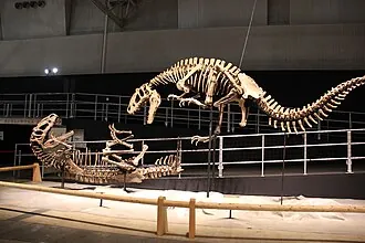ยูทิแรนนัส (Yutyrannus)