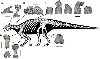 ยวี่ซีซอรัส (Yuxisaurus)