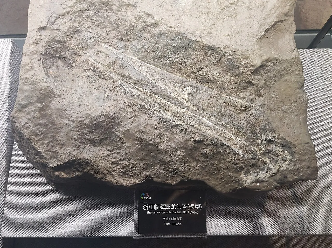 เจ้อเจียงออปเทอรัส (Zhejiangopterus)