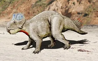 จูเฉิงเซอราทอปส์ (Zhuchengceratops)